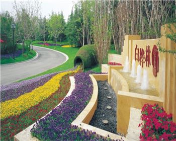 小區亮化客戶-白樺林間 小區亮化客戶-白樺林間