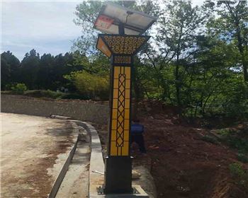 商洛洛南景村鎮太陽能景觀燈項目